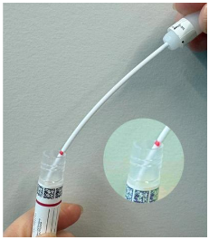 The indicated pink line is where the swab must be broken. HPV Break Point