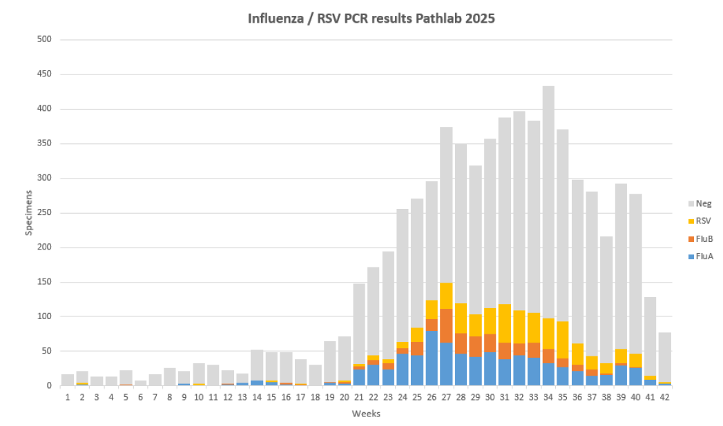 Influenza / RSV PCR results Pathlab 2025