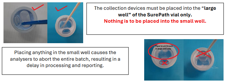 SurePath LBC Container Well